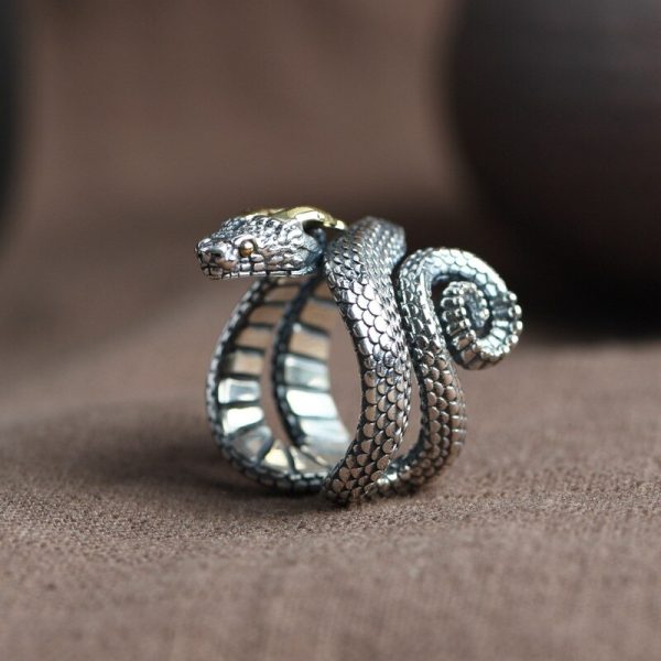 Bague Réglable Homme Femme - Motifs Dragon, Loup, Serpent Ou Boussole - Cadeau Vintage